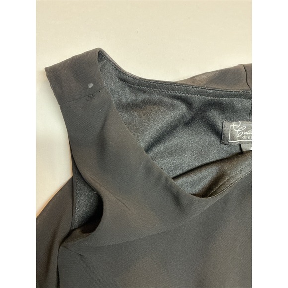 Dressbarn Collection Size 16 Black Cocktail Dress Chiffon Ruffles Sleeveless - Picture 16 of 16